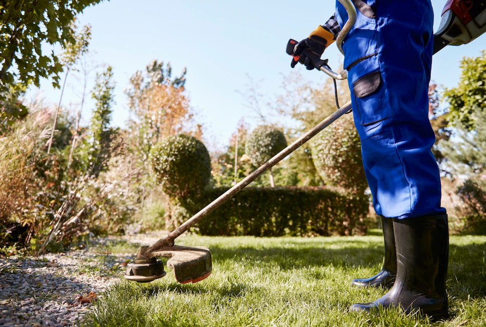 LAWN RENOVATION