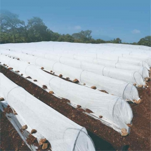 Agriculture Non Woven Fabric