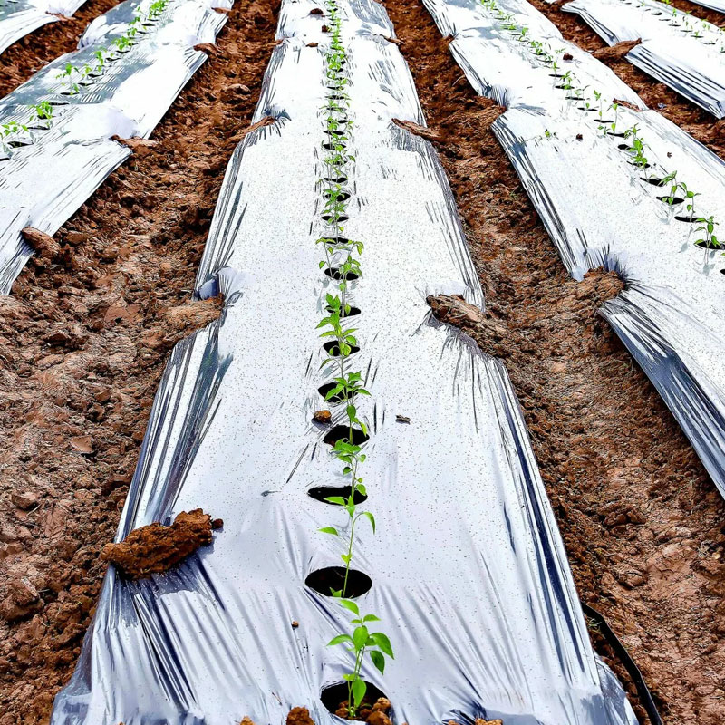 AGRICULTURAL MULCH SHEET