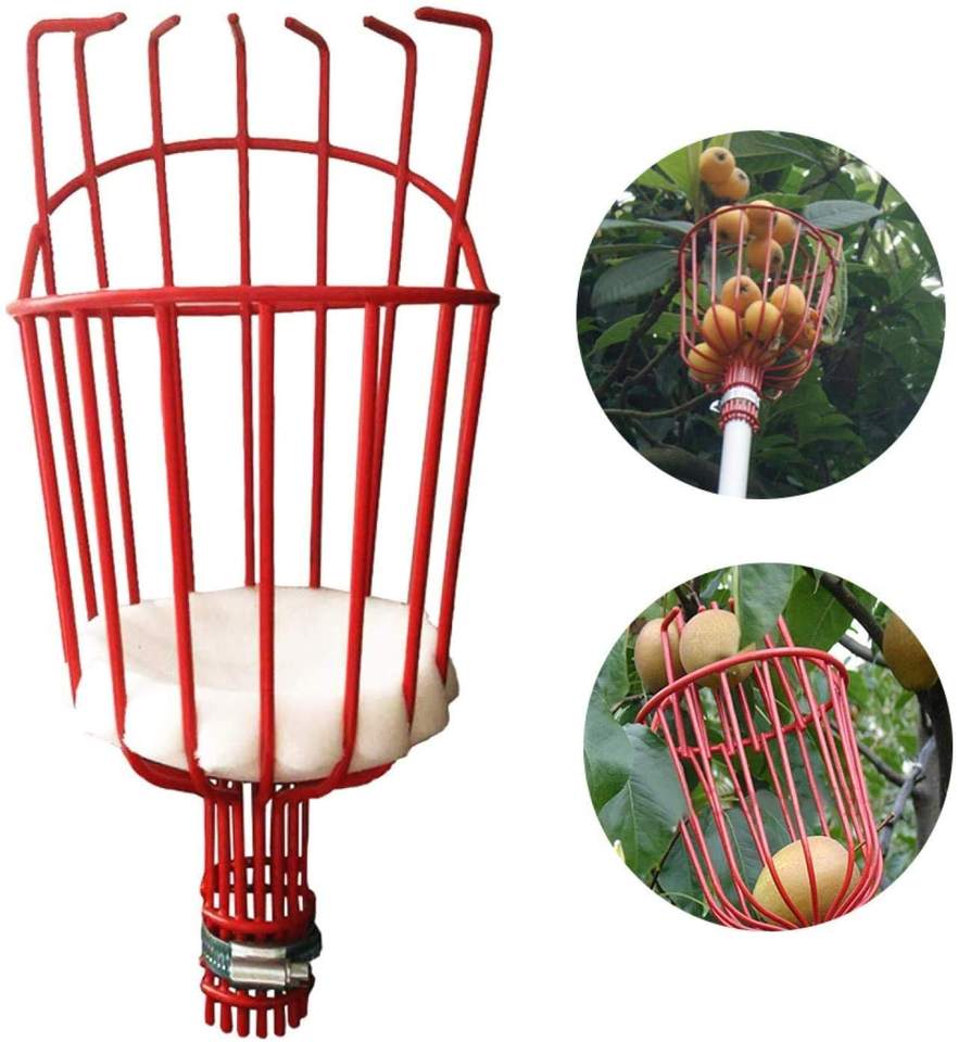 Fruit Picker with Handle
